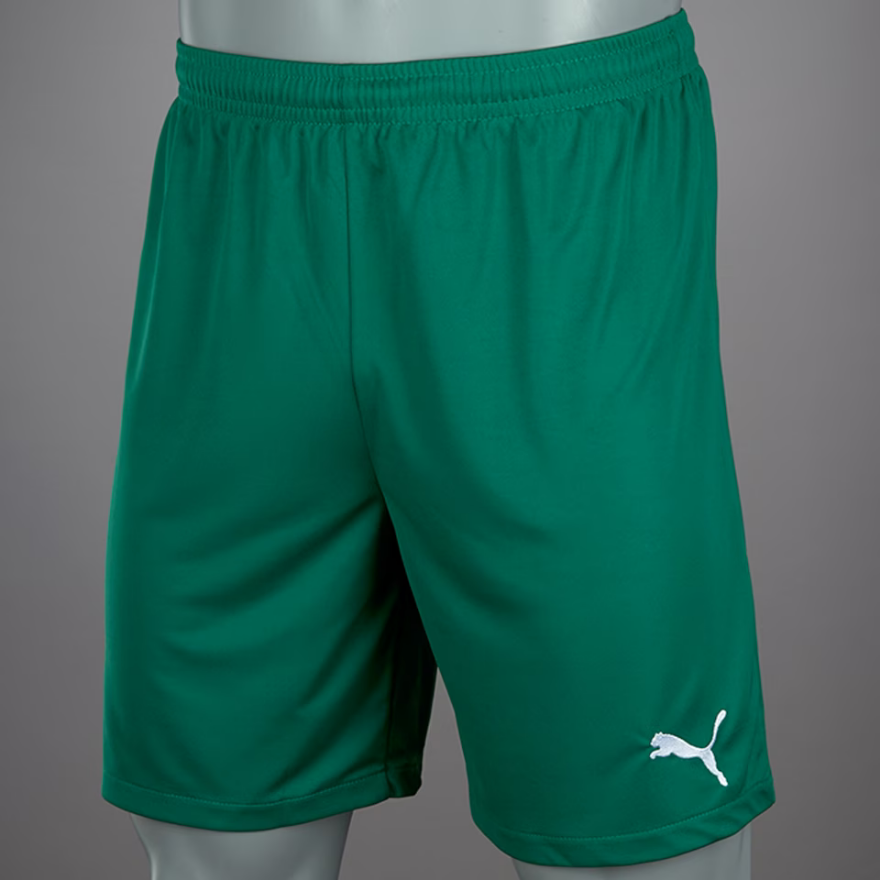 Puma Velize Shorts