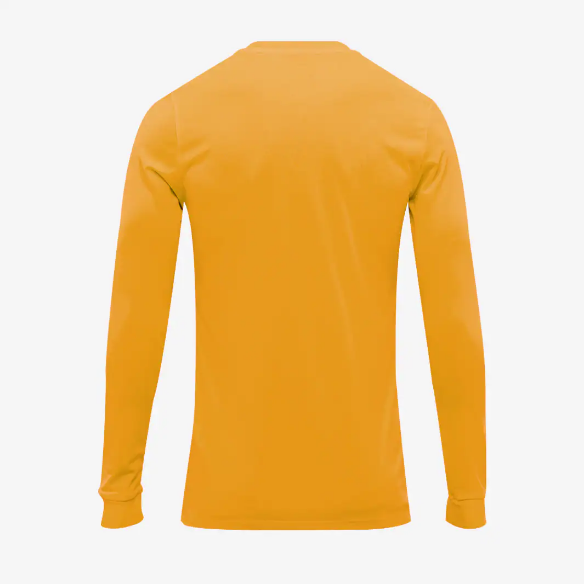 Nike Youths Park VI LS Jersey