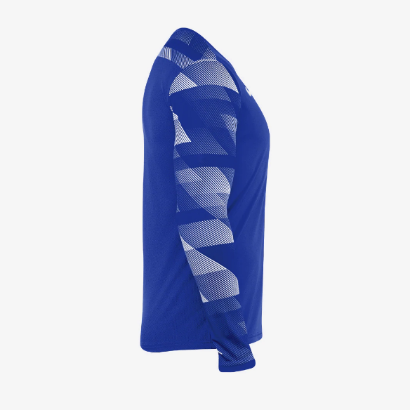 Nike Park IV LS GK Jersey
Royal Blue/White/White