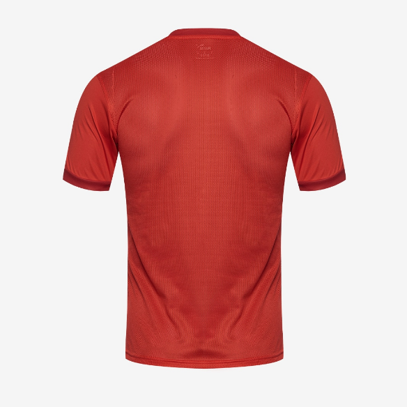Puma Goal 23 SS Jersey
Puma Red/Chili Pepper