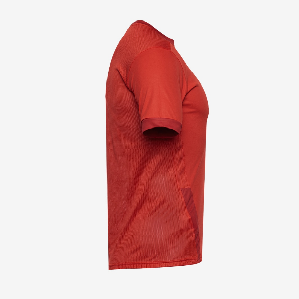 Puma Goal 23 SS Jersey
Puma Red/Chili Pepper