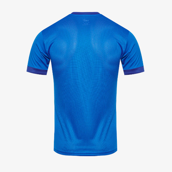 Puma Goal 23 SS Jersey
Electric Blue Lemonade/Team Power Blue