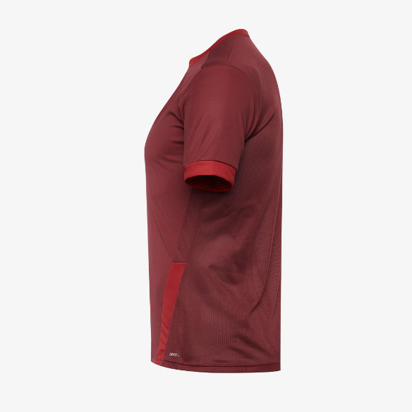 Puma Goal 23 SS Jersey
Cordovan/Chili Pepper