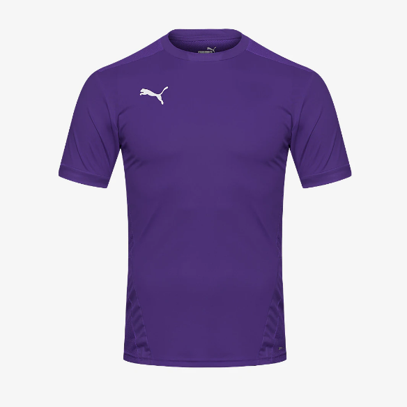 Puma Goal 23 SS Jersey
Prism Violet/Tillandsia Purple