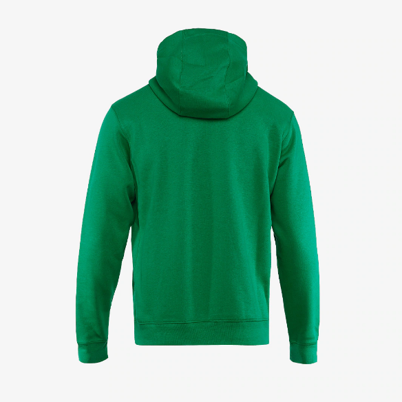 Nike Park 20 Fleeced Pullover Hoodie - Pine Green/White