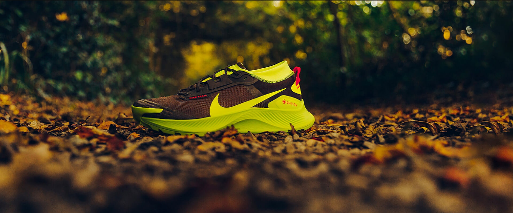 Nike Pegasus Trail 3 GTX