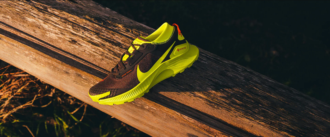 Nike Pegasus Trail 3 GTX