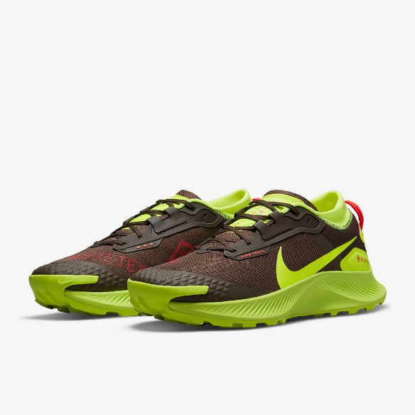 Nike Pegasus Trail 3 GTX