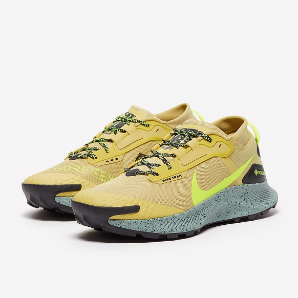 Nike Pegasus Trail 3 GTX