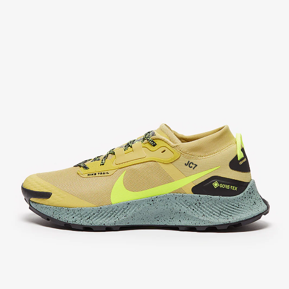 Nike Pegasus Trail 3 GTX