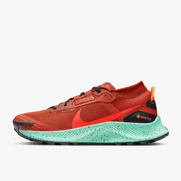 Nike Pegasus Trail 3 GTX