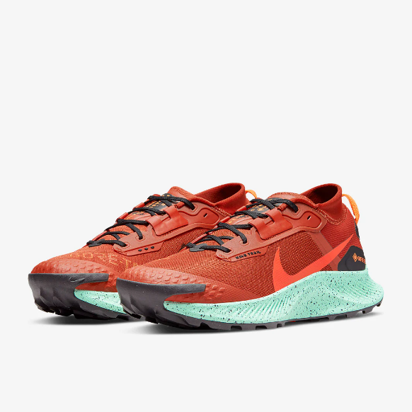 Nike Pegasus Trail 3 GTX