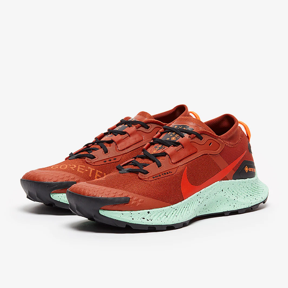 Nike Pegasus Trail 3 GTX