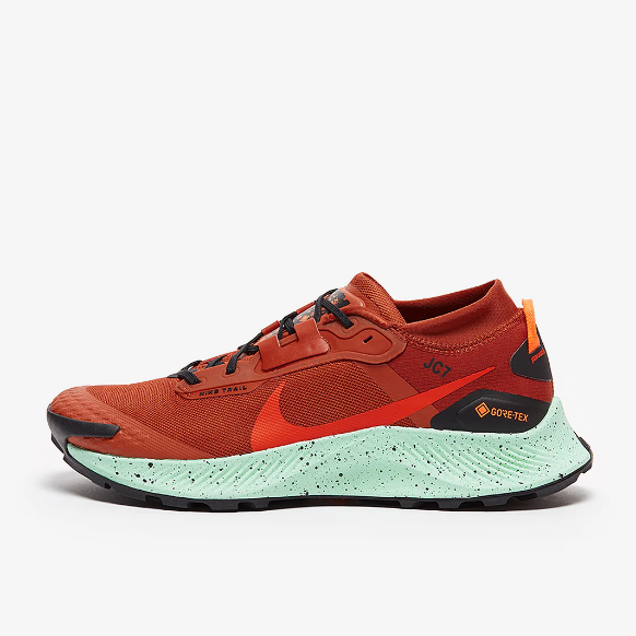 Nike Pegasus Trail 3 GTX