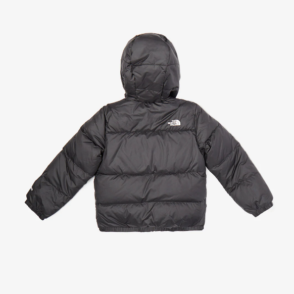 The north face moondoggy 2.0 deals down jacket