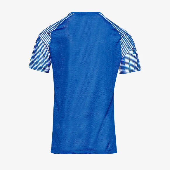 Nike Dri-Fit Junior Academy SS Shirt