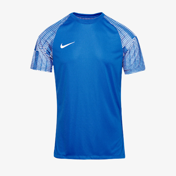 Nike Dri-Fit Junior Academy SS Shirt