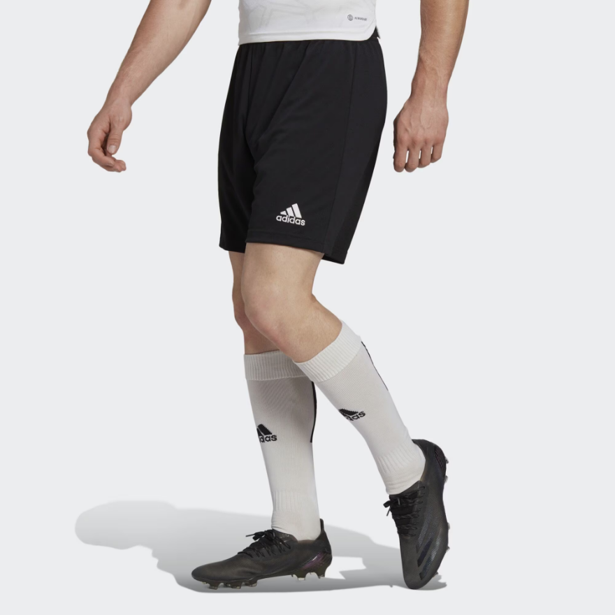 adidas Entrada 22 Shorts