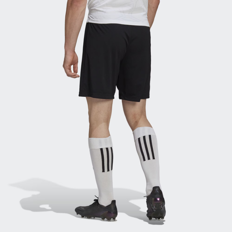 adidas Entrada 22 Shorts