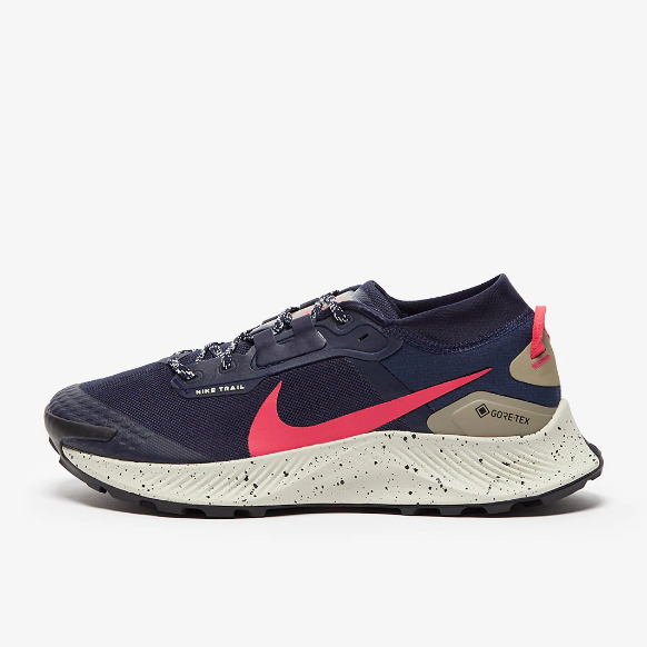 Nike Pegasus Trail 3 GTX