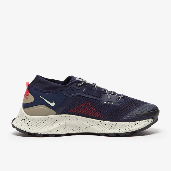 Nike Pegasus Trail 3 GTX