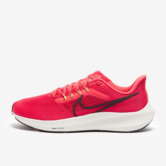 Nike Air Zoom Pegasus 39