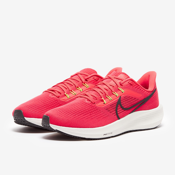 Nike Air Zoom Pegasus 39