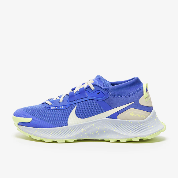 Nike Womens Pegasus Trail 3 GTX