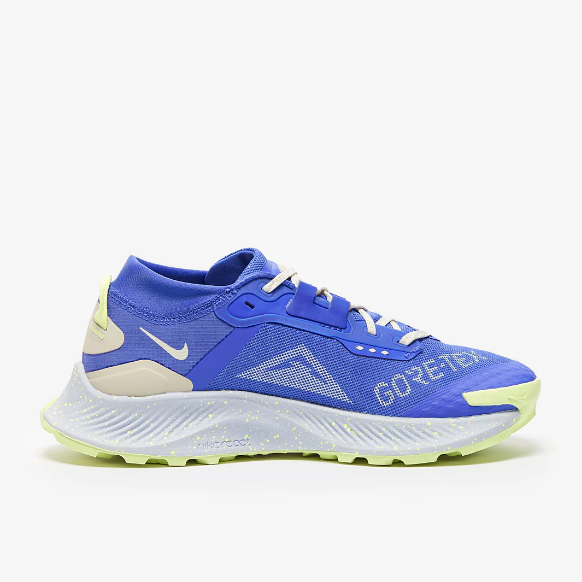 Nike Womens Pegasus Trail 3 GTX