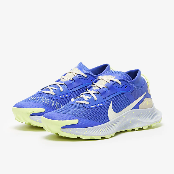 Nike Womens Pegasus Trail 3 GTX