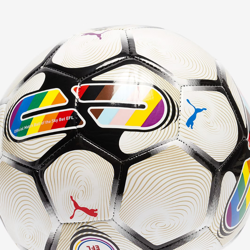 Puma Orbita 6 EFL MS BallRainbow